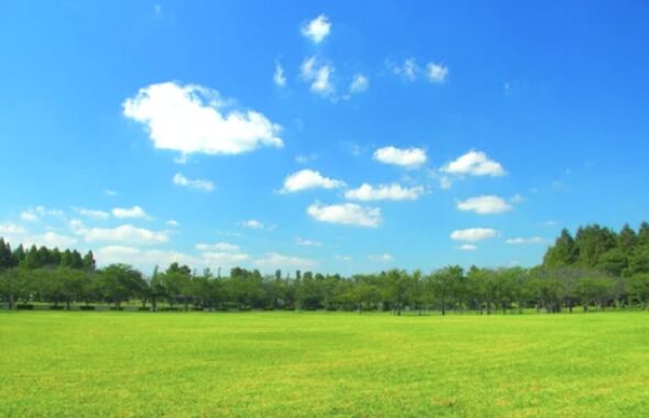 公園で広がる青空