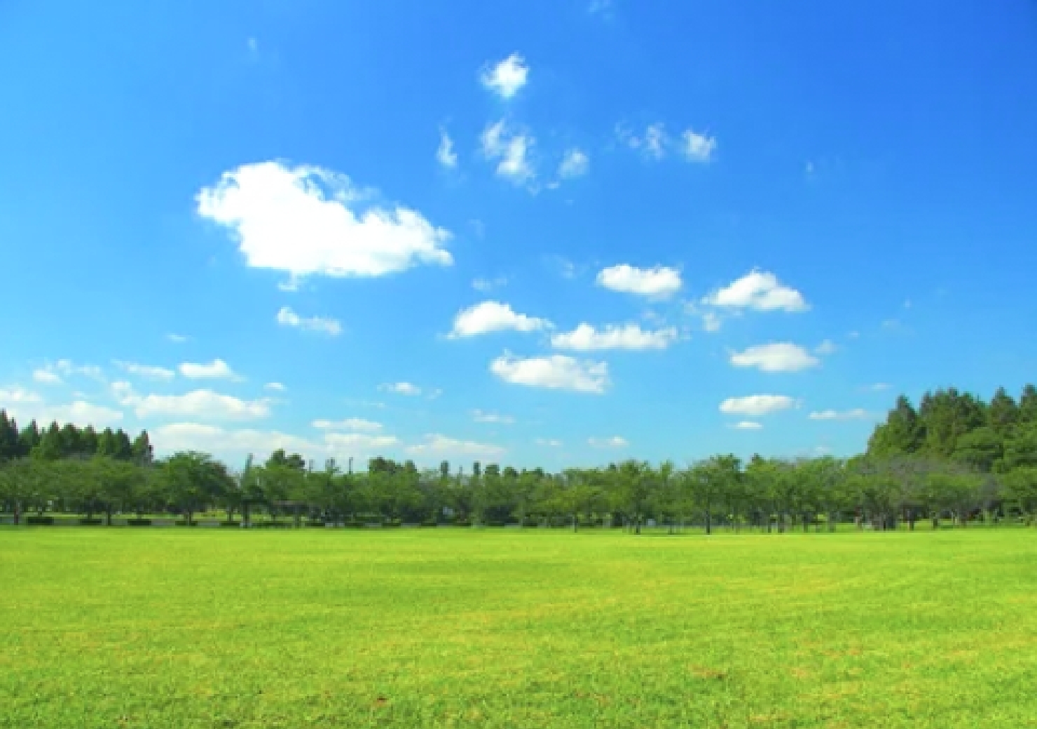 公園で広がる青空